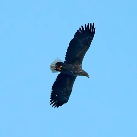 Arctic Sky Loft I Sea View I Apartment