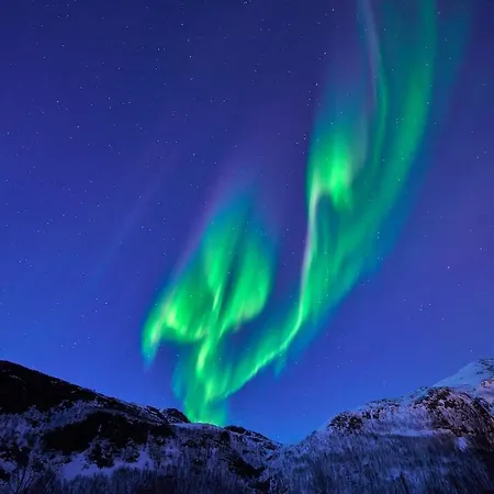 Apartment Arctic Sky Loft I Sea View I *